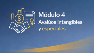 Módulo 4 – Avalúos Intangibles y Especiales